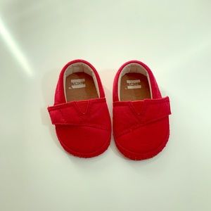 Baby red toms